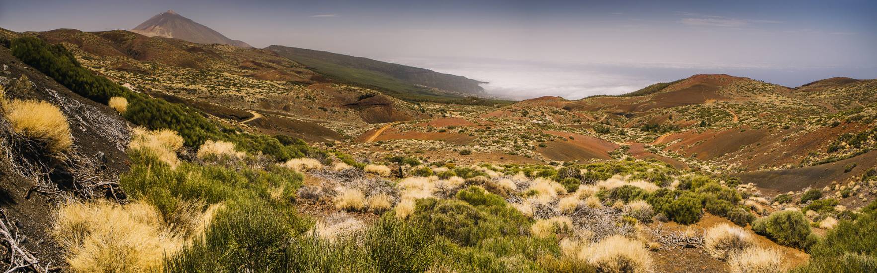 Photo - Îles Canaries - Iles Canaries #23